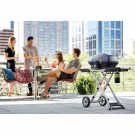 Gassgrill Travel PRO285X Napoleon (PRO285X-BK) thumbnail